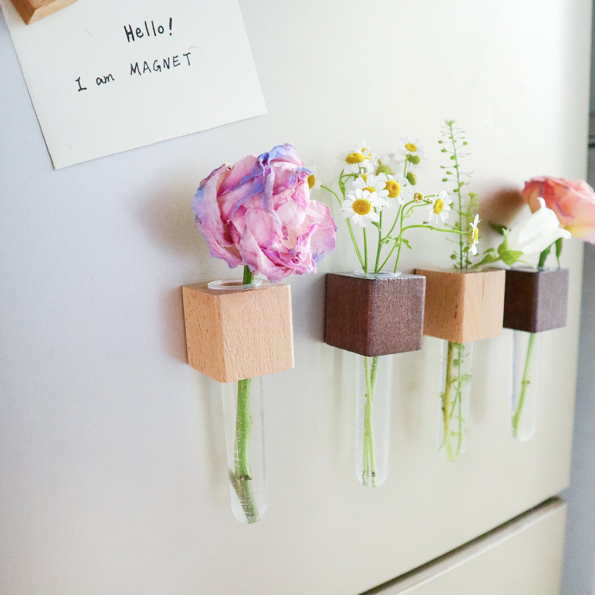 Mini Vase Magnets – Set of 2 – Beech & Walnut Wood