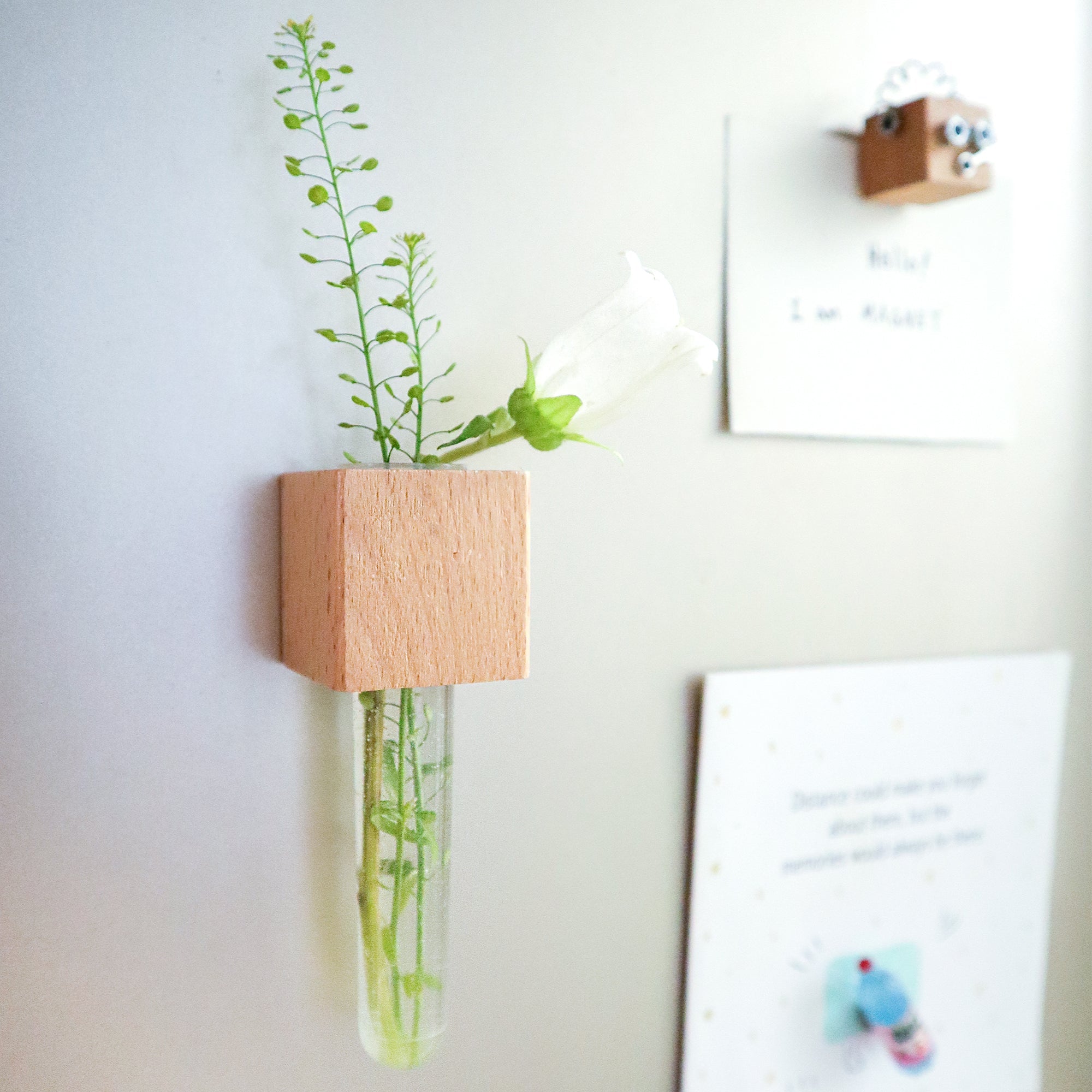 Mini Vase Magnets – Set of 2 – Beech & Walnut Wood