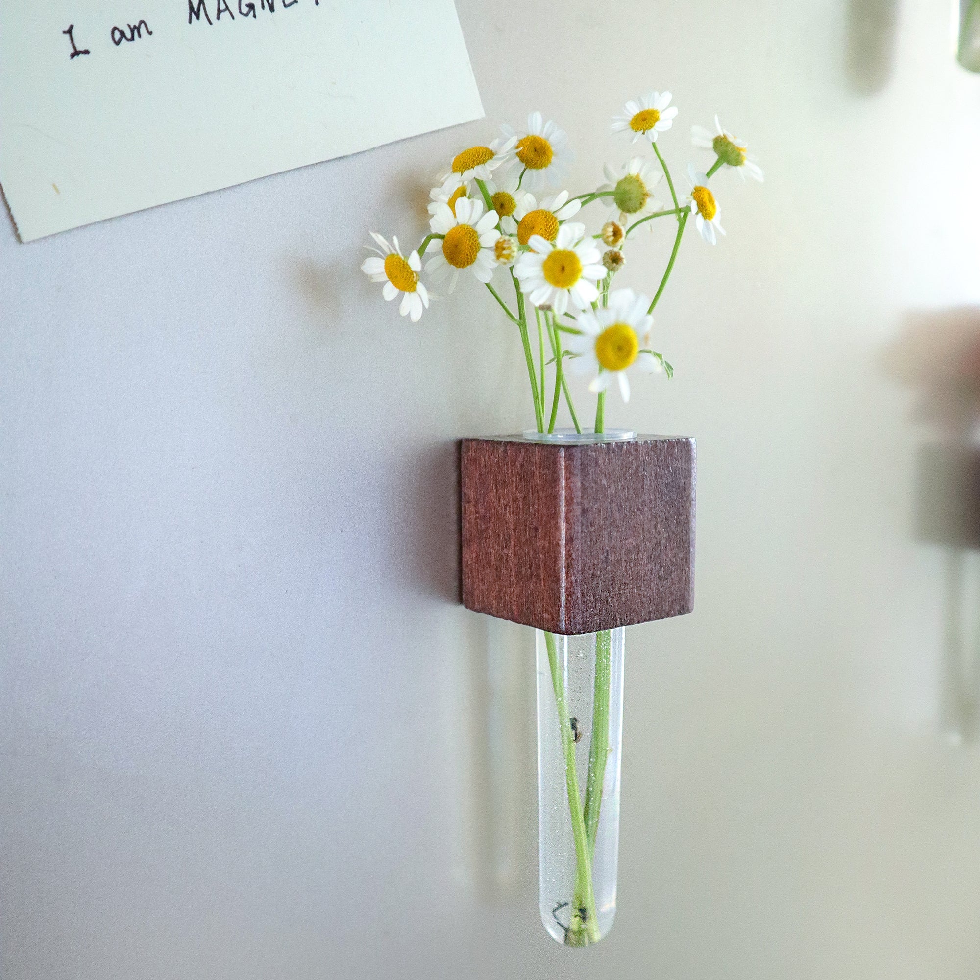 Mini Vase Magnets – Set of 2 – Beech & Walnut Wood