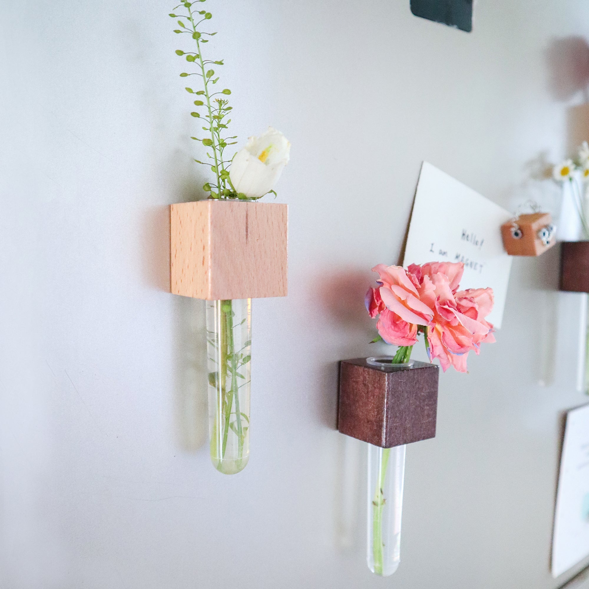 Mini Vase Magnets – Set of 2 – Beech & Walnut Wood