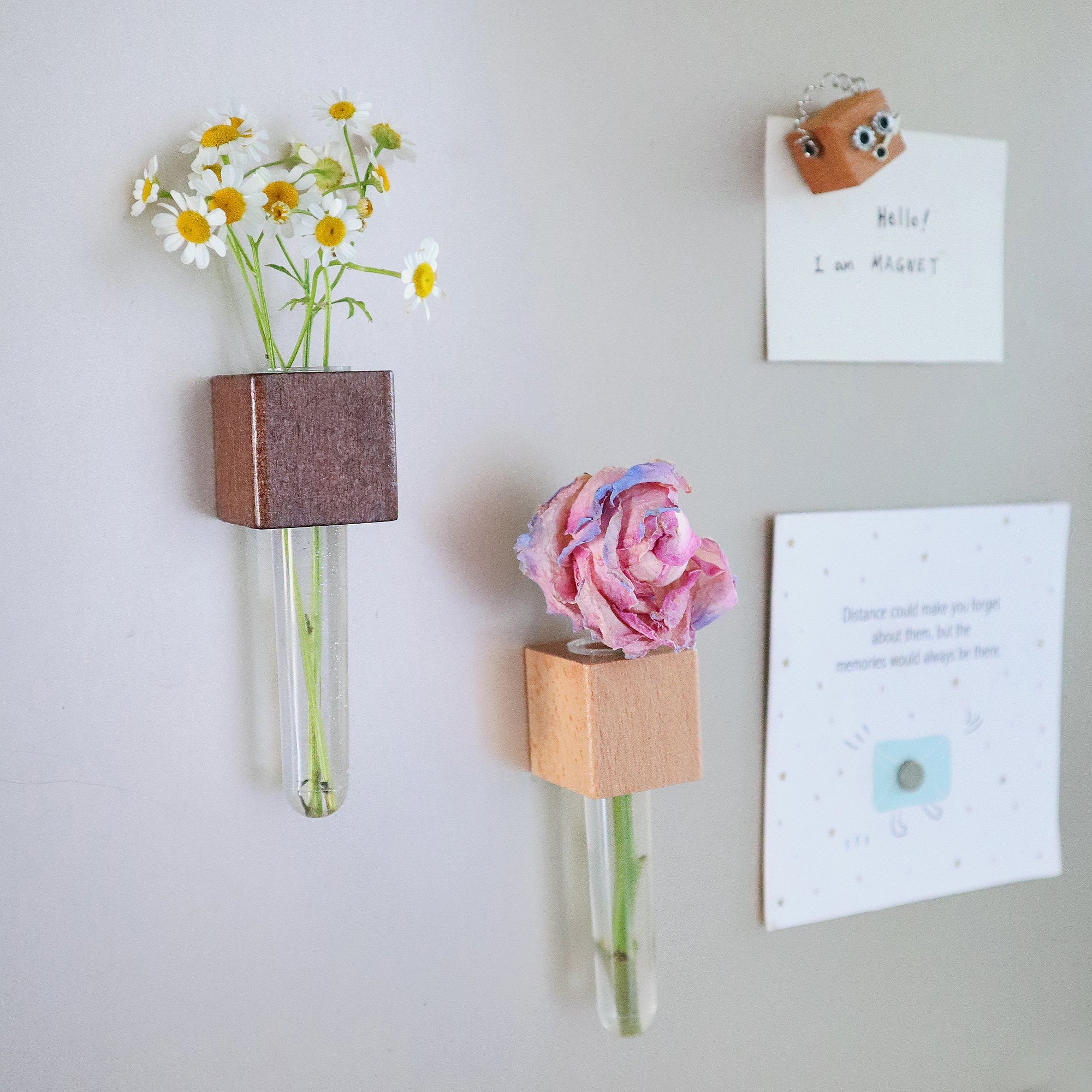 Mini Vase Magnets – Set of 2 – Beech & Walnut Wood
